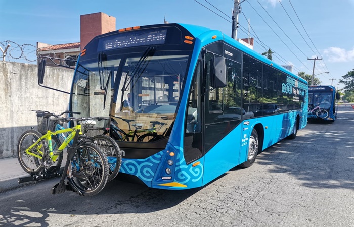 Piedra en el Camino: Ciclista Lanza Protesta a Camión del Va y Ven